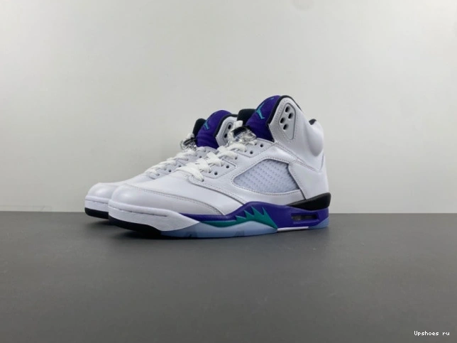 5 Jordan (2025)    Retro HQ7978-100 Grape  1103